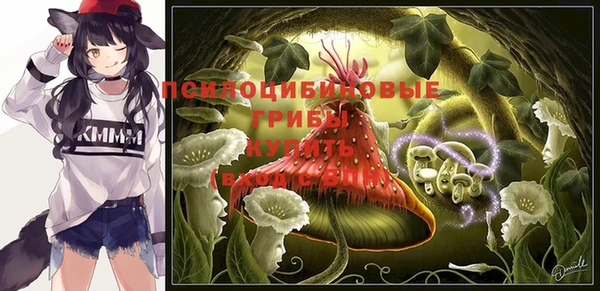 амф Бронницы