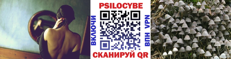 mega как войти Кизляр Галлюциногенные грибы мухоморы